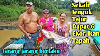 Hal Yang Paling Tidak Diduga  Hasil Menajur Ikan Tapah😱ikantapahikanmancingmenajur [upl. by Maddeu732]