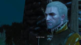 The Witcher 3  Dijkstra Asks Geralt for Help to Kill Radovid [upl. by Sharman]