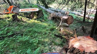 Holzfällen für Seilbahn [upl. by Enois]