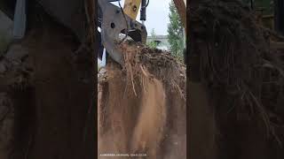 Process of Excavator Digging Up Tree Root [upl. by Ayna453]