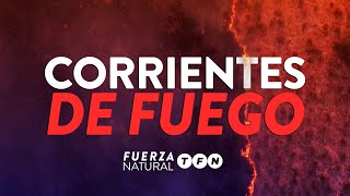 ARDE Corrientes y DESATA una TRAGEDIA AMBIENTAL  FuerzaNatural [upl. by Nnyllaf]