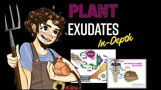 Plant Exudates InDepth with Matt Powers  a Regenerative Soil excerpt [upl. by Dnalkrik85]