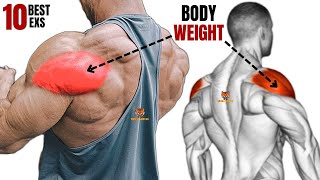 10 BEST REAR DELTOID EXERCISES WITH BODYWEIGHT ONLY AT GYM [upl. by Joice]