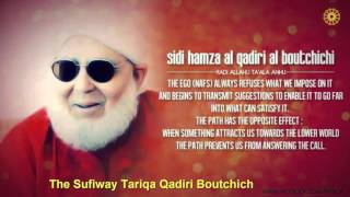 Wisdom of sidi Hamza Qadiri Boutchich [upl. by Sadoc]