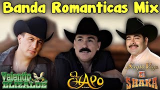 Valentin Elizalde y Sergio Vega amp El Chapo De Sinaloa  Banda Romanticas Mix [upl. by Barret]