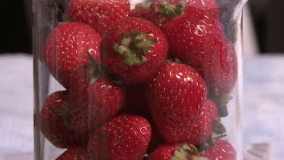 How to extract DNA from strawberries [upl. by Nrubloc208]