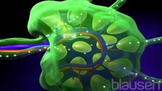 Lymphoma Animation [upl. by Inot]