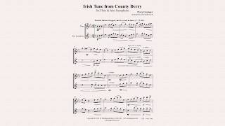 Grainger Irish Tune for FluteSax Duet [upl. by Trixi763]