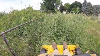 Cutting Real Tall Grass Hustler Raptor Zero Turn [upl. by Toscano]