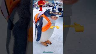 Pingüino Yendo a la Escuela 🐧 Final inesperado 🤣👠👍 [upl. by Liatnahs547]