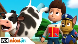 PAW Patrol  Pups Save a Farm  Nick Jr UK [upl. by Eastlake]