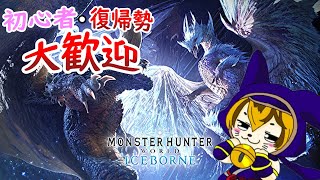 【MHWIB PS版 参加型】初心者・復帰勢大歓迎！楽しく色んなクエストを回ろう！【モンスターハンターワールド：アイスボーン】 [upl. by Ellesirg]