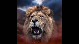 The Lion’s Mentality – Unleash the Mindset of a King  MindQuest Fusion winnermindset motivation [upl. by Elyad]