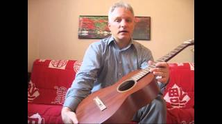 Guitar Review  Martin 515 [upl. by Chaim]