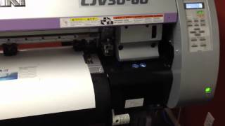 Cjv3060 print and cut job [upl. by Noicpesnoc]