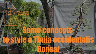 Some concepts to improve your Thuja occidentalis bonsai styling [upl. by Llemmart]