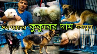 কিউট বিদেশী কুকুর কিনুন 🐶  জার্মান শেফার্ড এর দাম🐕  Katabon Pet market Dhaka  Biggest Dog Market [upl. by Mireille]