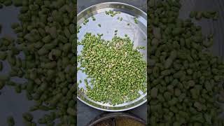 Lobia Allu Masala Curry  Rongi Aloo Masala लोबिया की सब्जी चवला की सब्जी black eyed peas recipe [upl. by Herrod148]