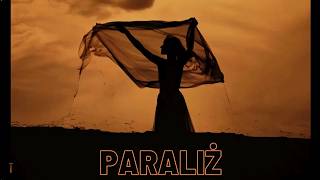 Razored  Paraliż Official Visualizer [upl. by Alyel]