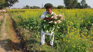 Fresh Shalgam Palak ki Sabzi Recipe Mitti Ki Handi BY Mukkram SaLeem  MY Village Food Secrets [upl. by Repooc]