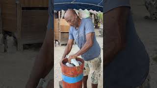 Fabrication du sorbet coco en Guadeloupe [upl. by Erroll575]