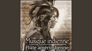 Musique amérindienne [upl. by Aikemaj]