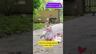 makanya jgn main trus animal cat funny comedy kucinglucu shorts ‎zevaxavier [upl. by Nrehtac]