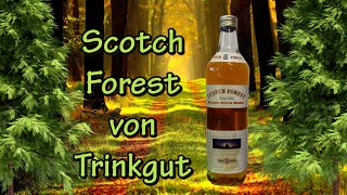 Scotch Forest  Blended Scotch Whisky von Trinkgut  Verkostung  Cheap Mr Z [upl. by Nnylatsirk]