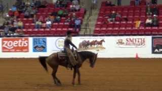 Wylene Wilson Davis  Mustang Million Reining [upl. by Ennaxor]