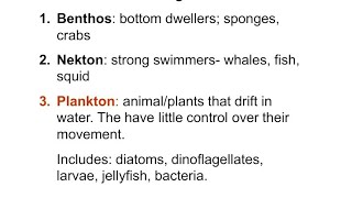 Plankton Nekton and benthos [upl. by Nonnelg]