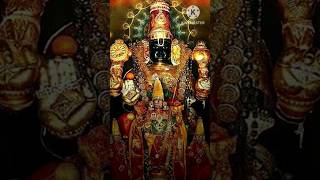 ஶ்ரீ பெருந்தேவி தாயார் சமேத ஶ்ரீ வரதராஜப் பெருமாள் வைகாசி பிரம்மோற்சவம் 2024 ஆரம்பம் kanchipuram [upl. by Donnell934]