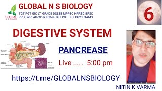 Digestive system Lecture 6 [upl. by Eiznekcam]