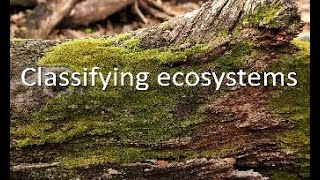 Classifying ecosystems [upl. by Enrica]