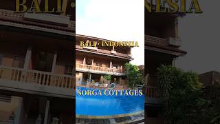 🇮🇩インドネシア・バリ島にあるソルガコテージのプールサイドでリラックスタイム BALI・INDONESIA  Sorga Cottages  Relax Time shorts バリ島 [upl. by Edelson]