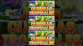 TROPICALES MIX PARA BAILAR EXITOS🎶CUMBIAS TROPICALES 2024💃🔆JUNIOR KLANLOS KARKISACAPULCO TROPICAL [upl. by Devitt]