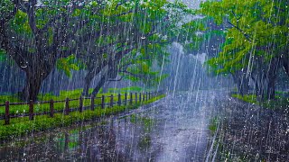 FORTE PLUIE Pour Dormir Rapidement et Réduire linsomnie  Bruit de la Pluie Orages et Tonnerre [upl. by Nah]