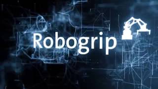 Krones Robogrip – der multifunktionale Pack und Palettierroboter [upl. by Fassold]