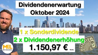 115097 € Bruttodividenden erwarte ich im Oktober für mein Aktiendepot quotNo risk no funquot [upl. by Asilem602]