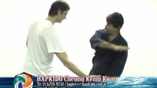 Hapkido Cheong Kyum Kwan  puntos de presion 1ª parte [upl. by Nylra902]