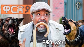 Waka TM New Eritrean comedy 2024 Wardya by Dawit Eyob ዋርድያ ብ ዳዊት እዮብ [upl. by Dryfoos662]