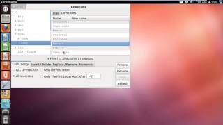 How to Rename in Ubuntu [upl. by Templeton58]