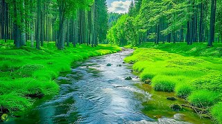 Relaxing Music to Relieve Stress Anxiety and Depression • Mind Body  Relax and Sleep [upl. by Ydac985]