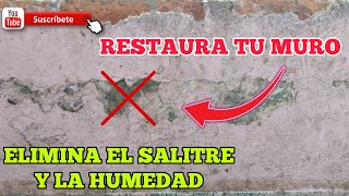 Como Quitar El salitre de las paredes  Elimina la humedad de la Pared  Repara la Pared de cemento [upl. by Ahteral]