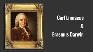 Carl Linnaeus and Erasmus Darwin [upl. by Rabah]