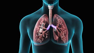 Spirometry  Test for Lung Function  Nucleus Health [upl. by Dunham144]