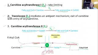 Transport across Mitochondrial Membrane IV Carnitine Shuttle [upl. by Navarro]