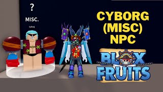 Where is The Cyborg NPC in Blox Fruits  How To Talk With Cyborg [upl. by Rennie]