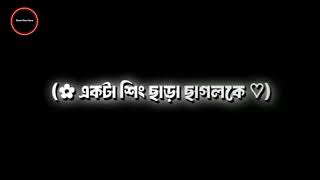 কেয়ামতের মাঠে যখন সমস্ত  New Emotional waz black screen status [upl. by Assiralk992]