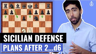 The Sicilian Defense after 2…d6  Introduction  Part 1 Strategies Plans amp Ideas  2D Reupload [upl. by Gariepy260]