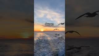 Jannatul firdaus quranurdutranslation shorts viral islamicvideo viralvideo youtuber ytshorts [upl. by Weldon]